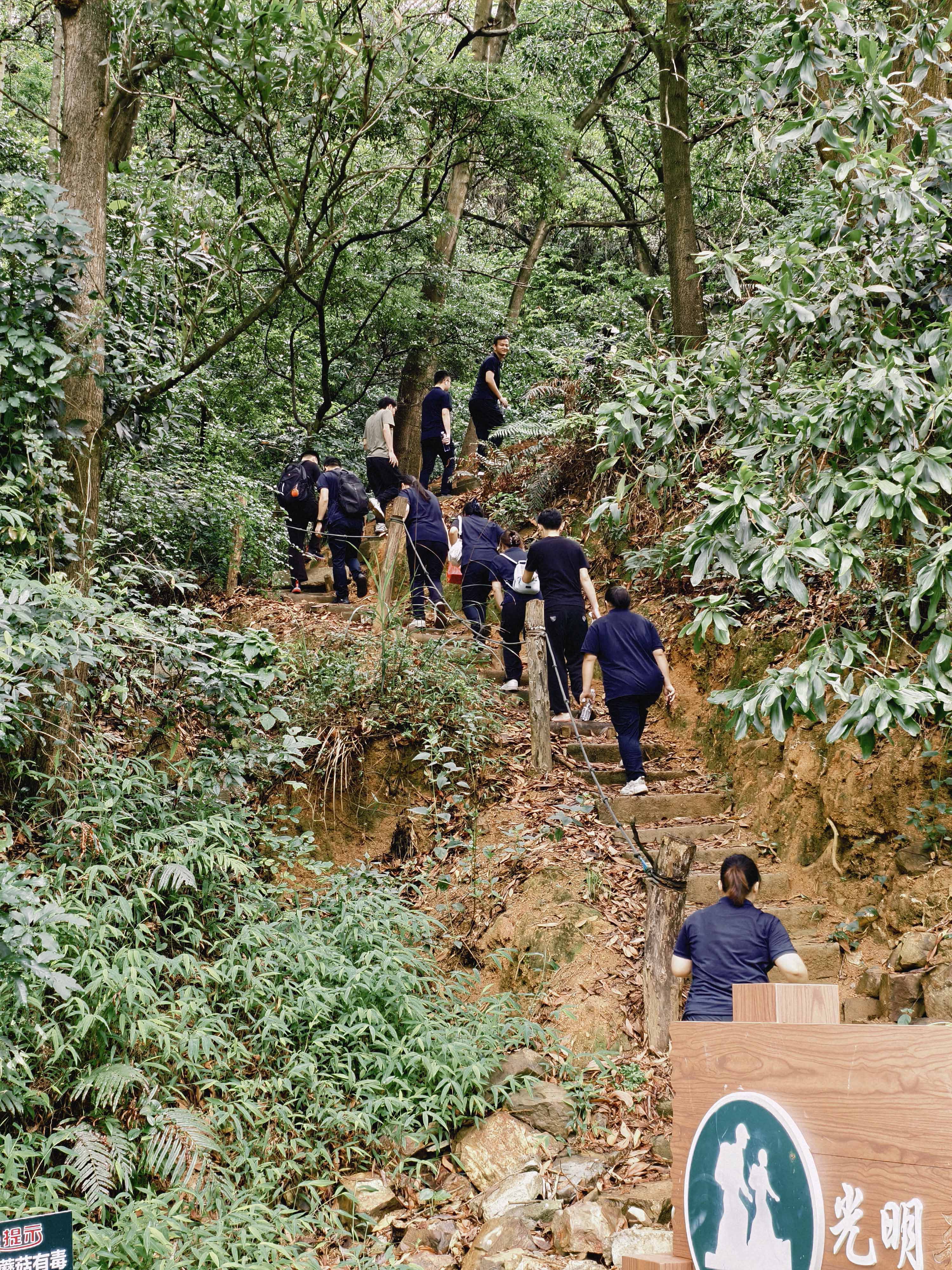 久信達科技公司員工齊聚光明區蠄蜍石,開啟活力爬山之旅暨團建活動(圖2)